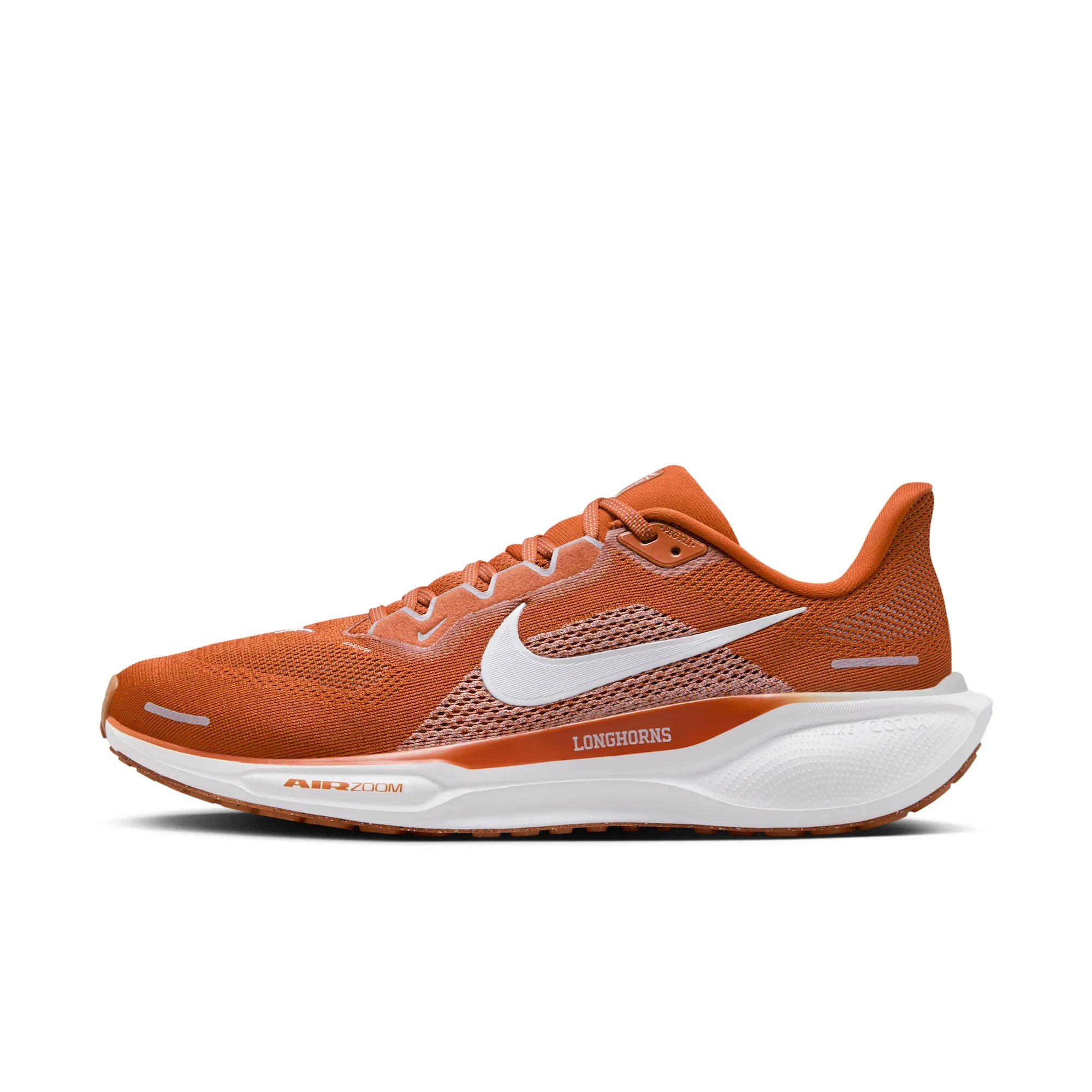 Texas Pegasus 41