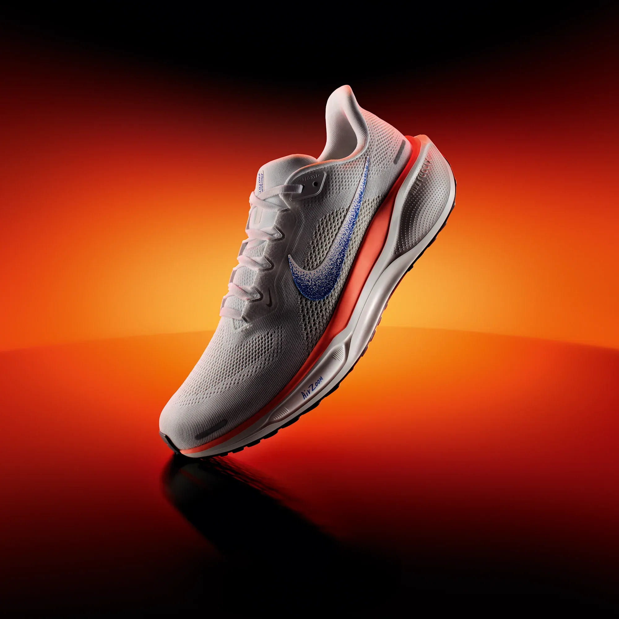 Nike Pegasus 41 Blueprint