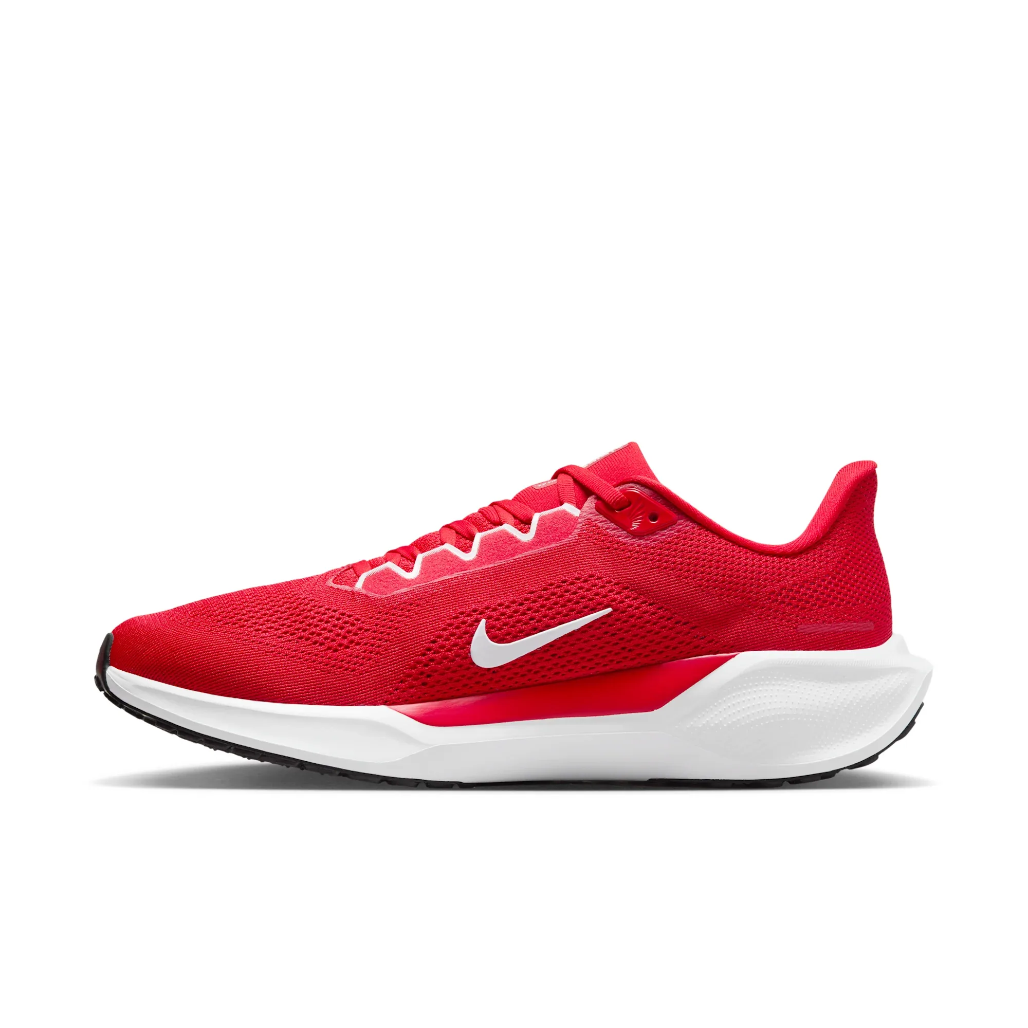 AIR ZOOM PEGASUS 41 TB