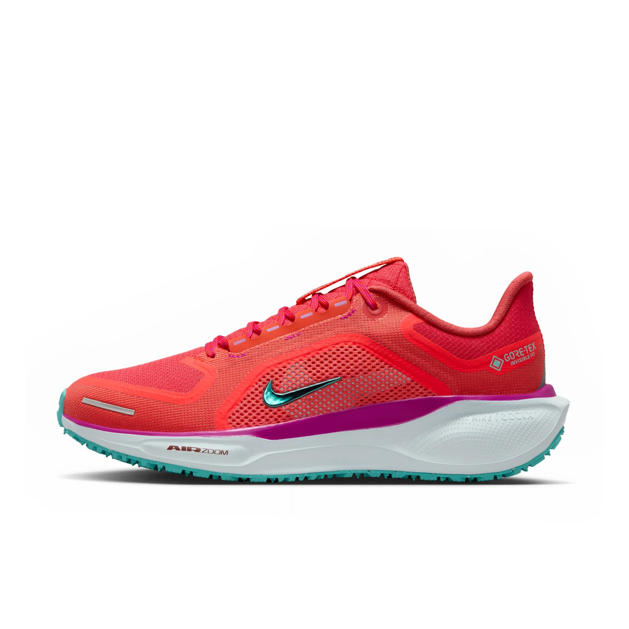 Nike Pegasus 41 GORE-TEX