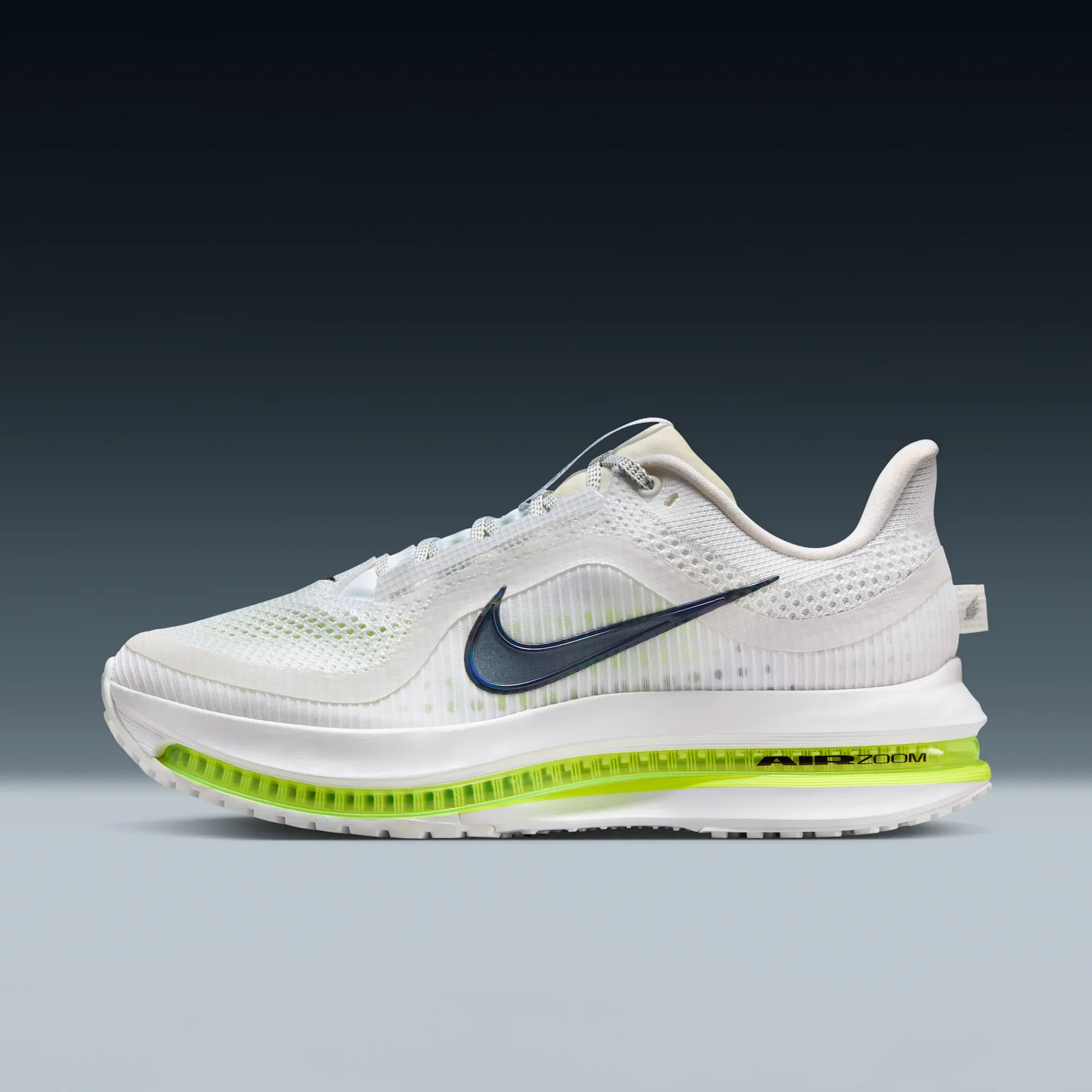 Nike Pegasus Premium