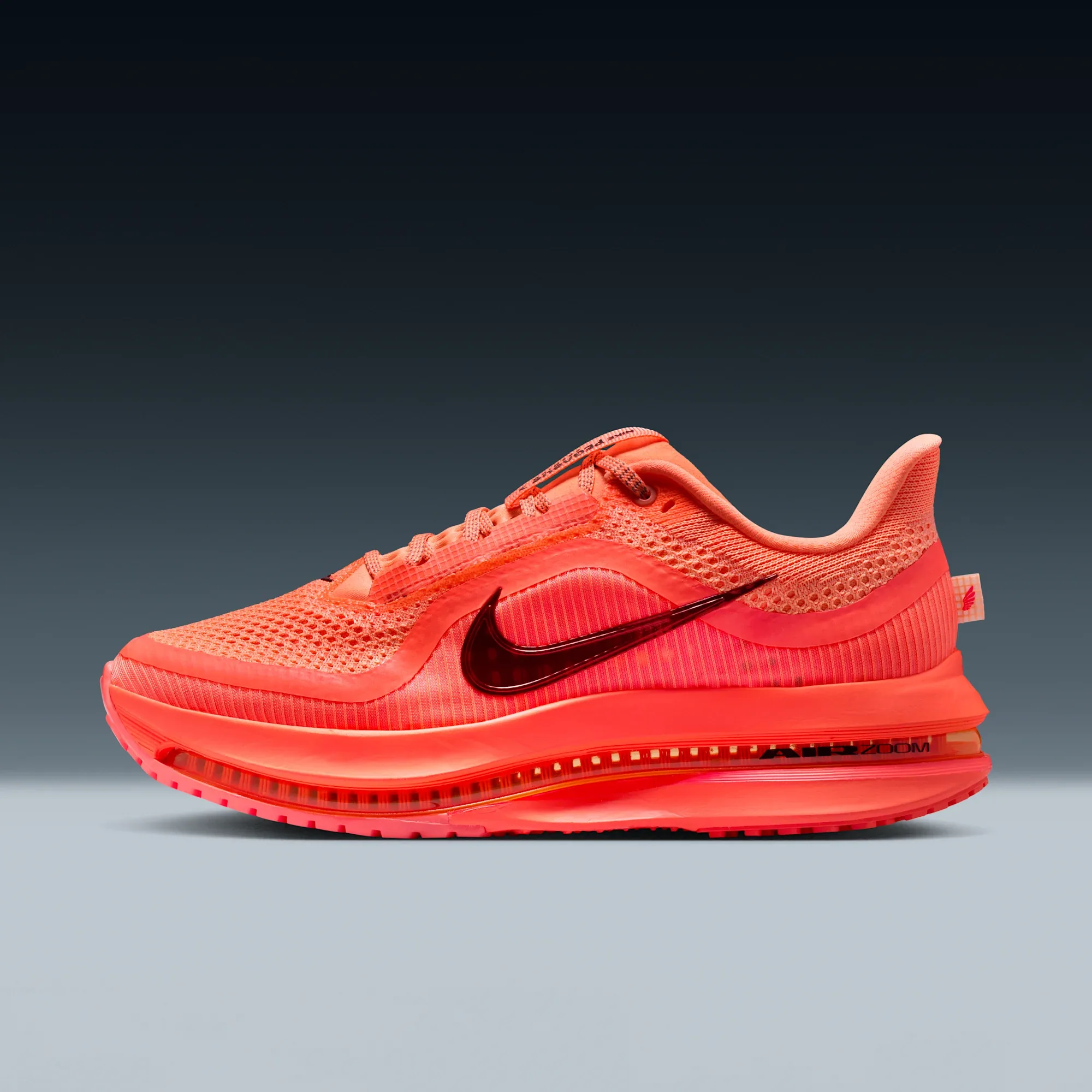Nike Pegasus Premium