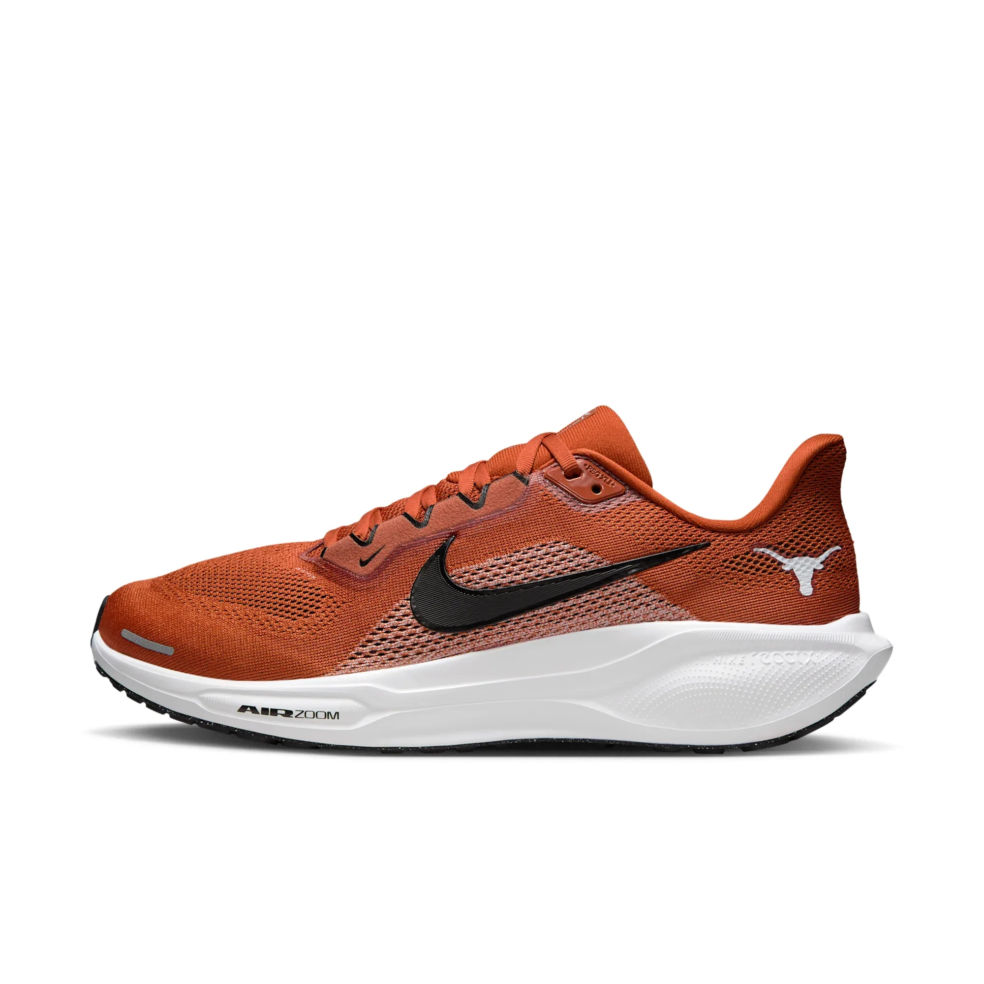 Texas Pegasus 41