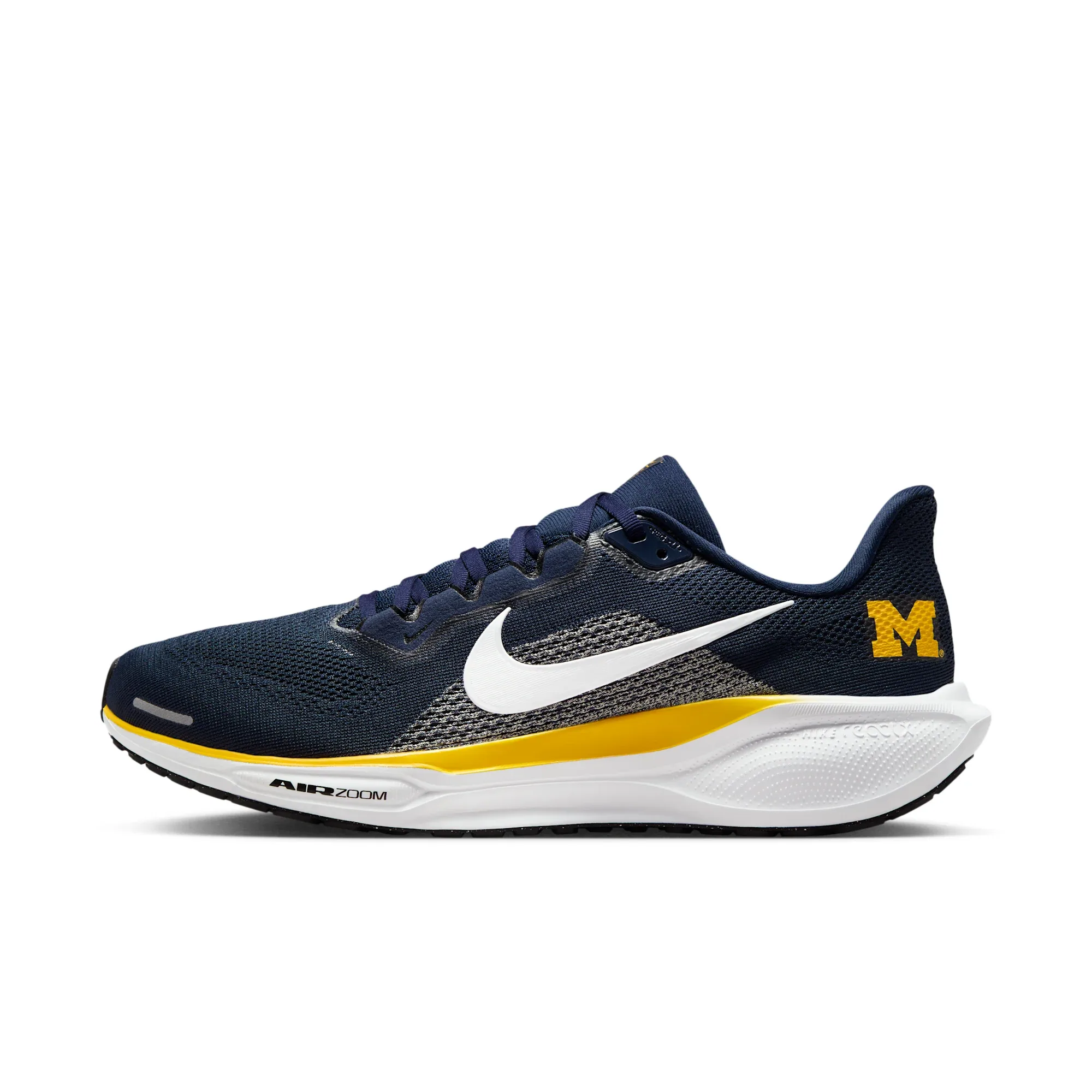 Michigan Pegasus 41