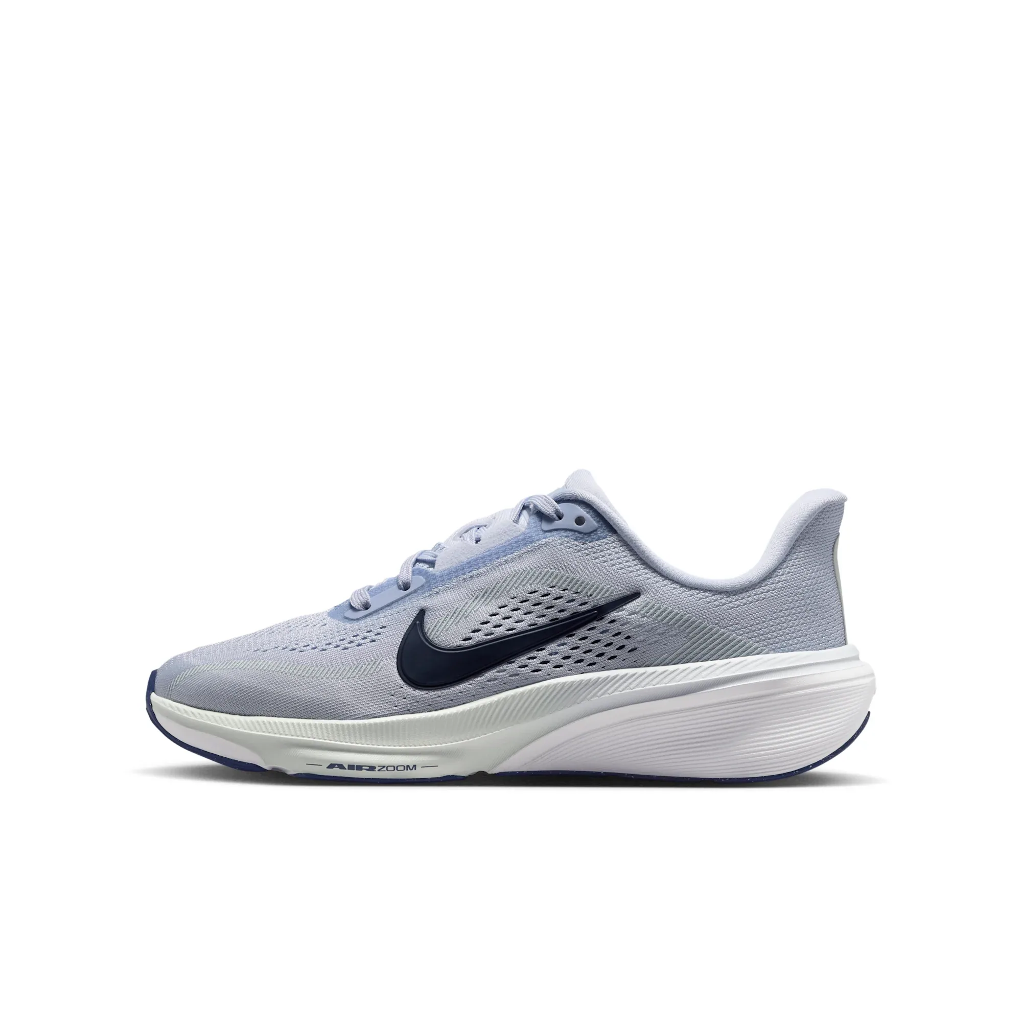 Nike Pegasus 42
