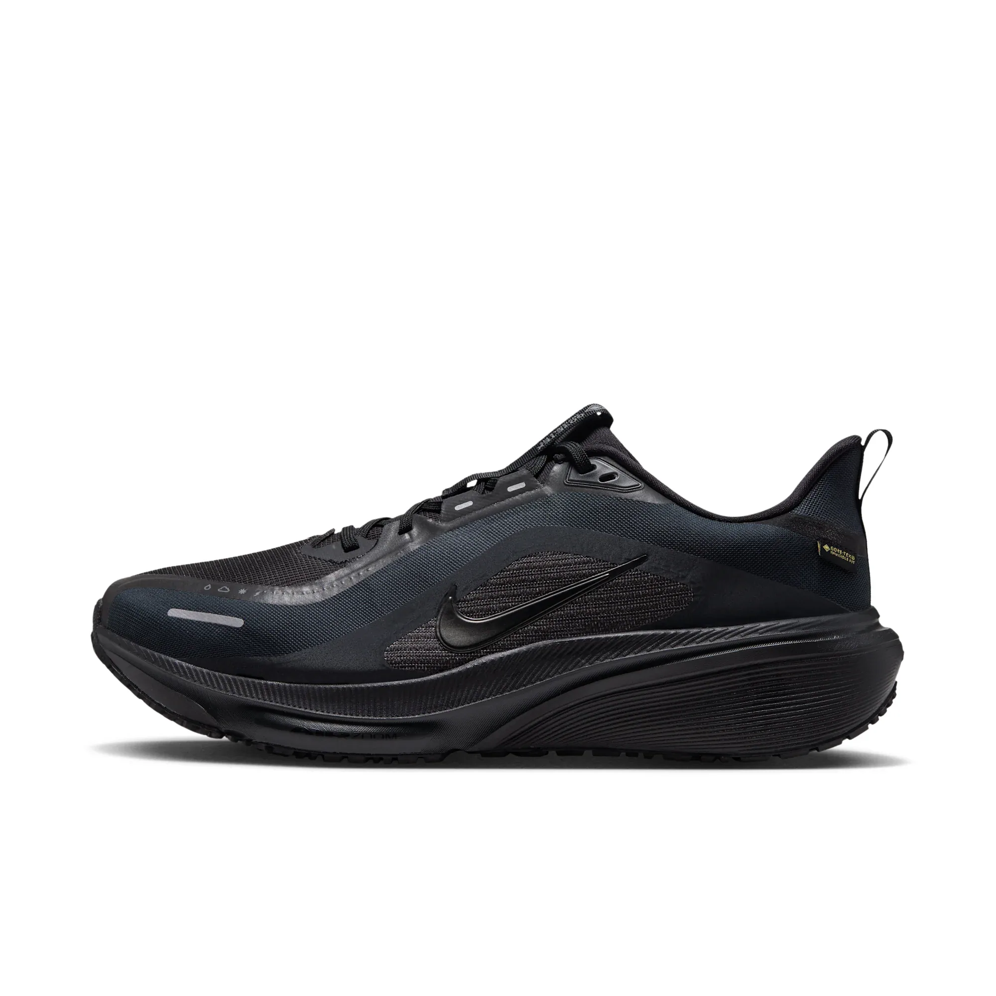 Nike Pegasus 42 GORE-TEX