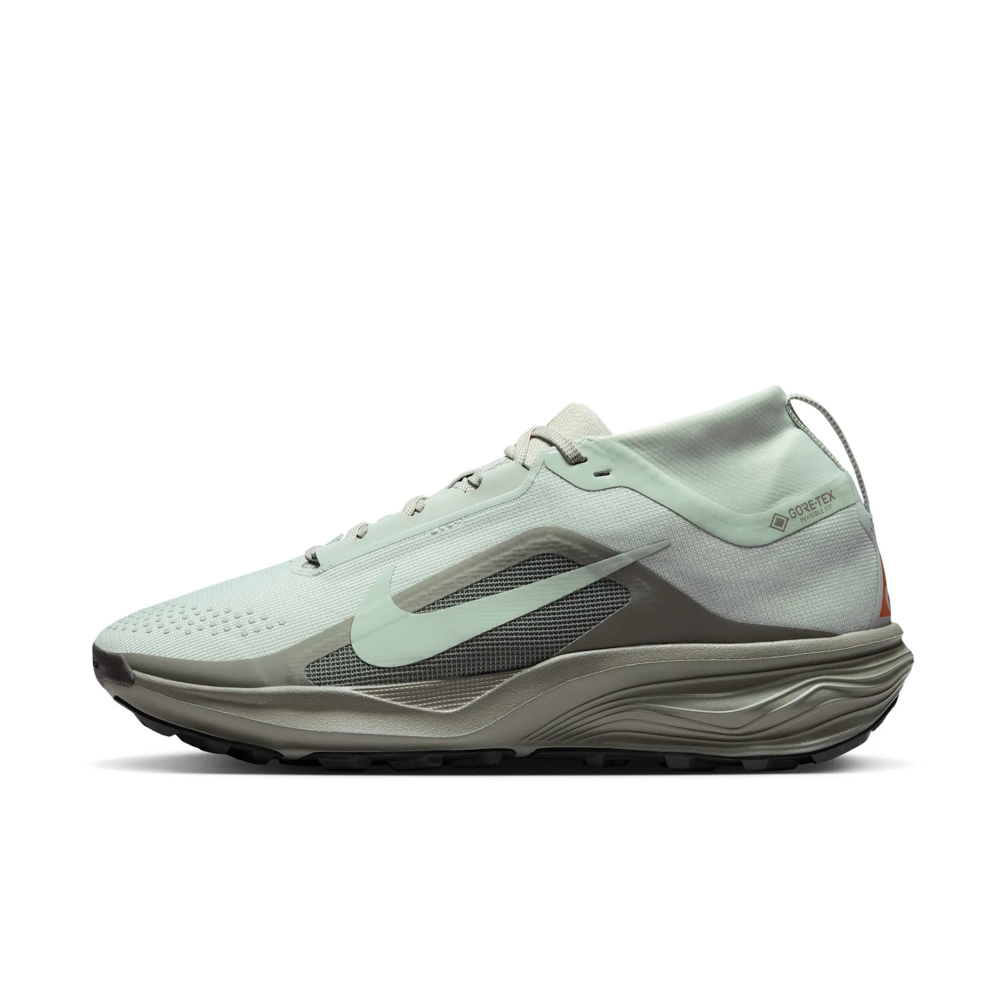 ACG Pegasus Trail GORE-TEX