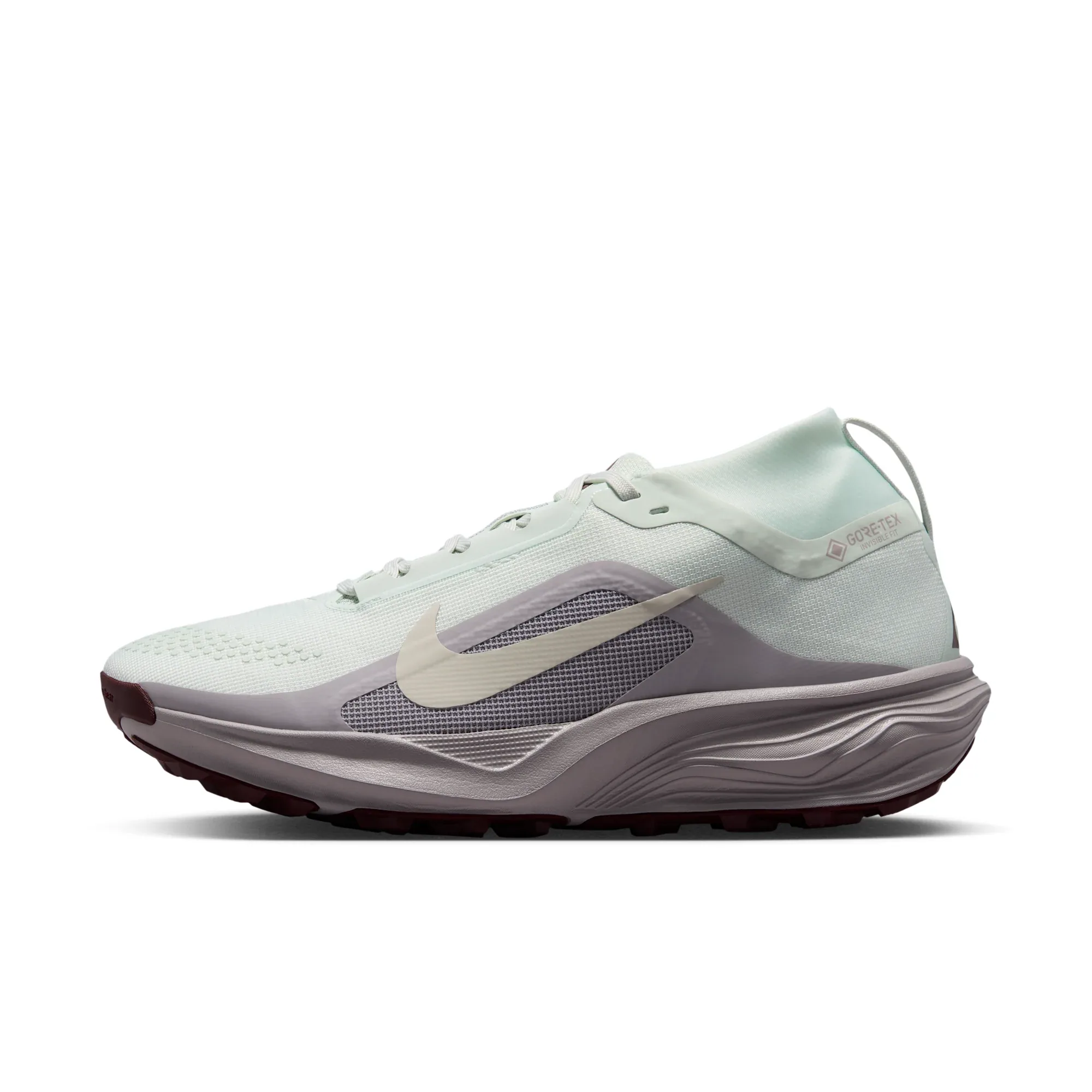 ACG Pegasus Trail GORE-TEX
